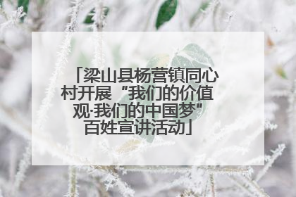 梁山县杨营镇同心村开展“我们的价值观·我们的中国梦”百姓宣讲活动